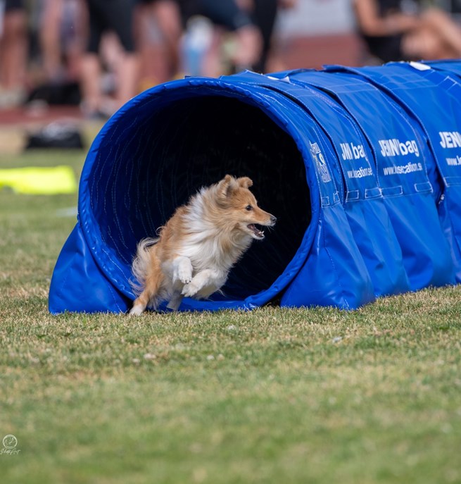 Turid i tunnel tillsammans med Kari