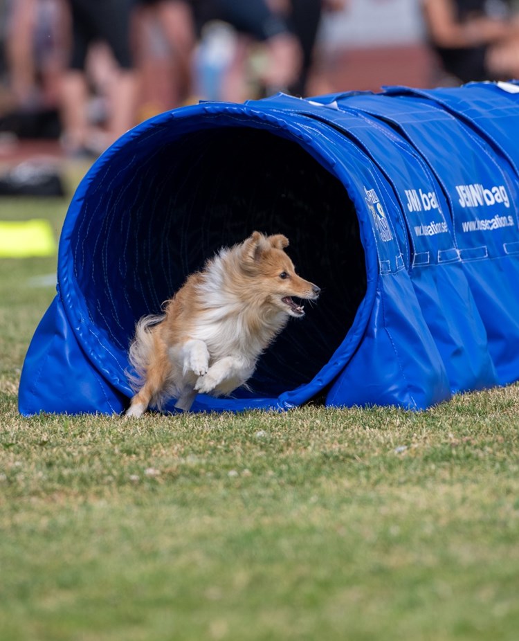 Turid i tunnel tillsammans med Kari