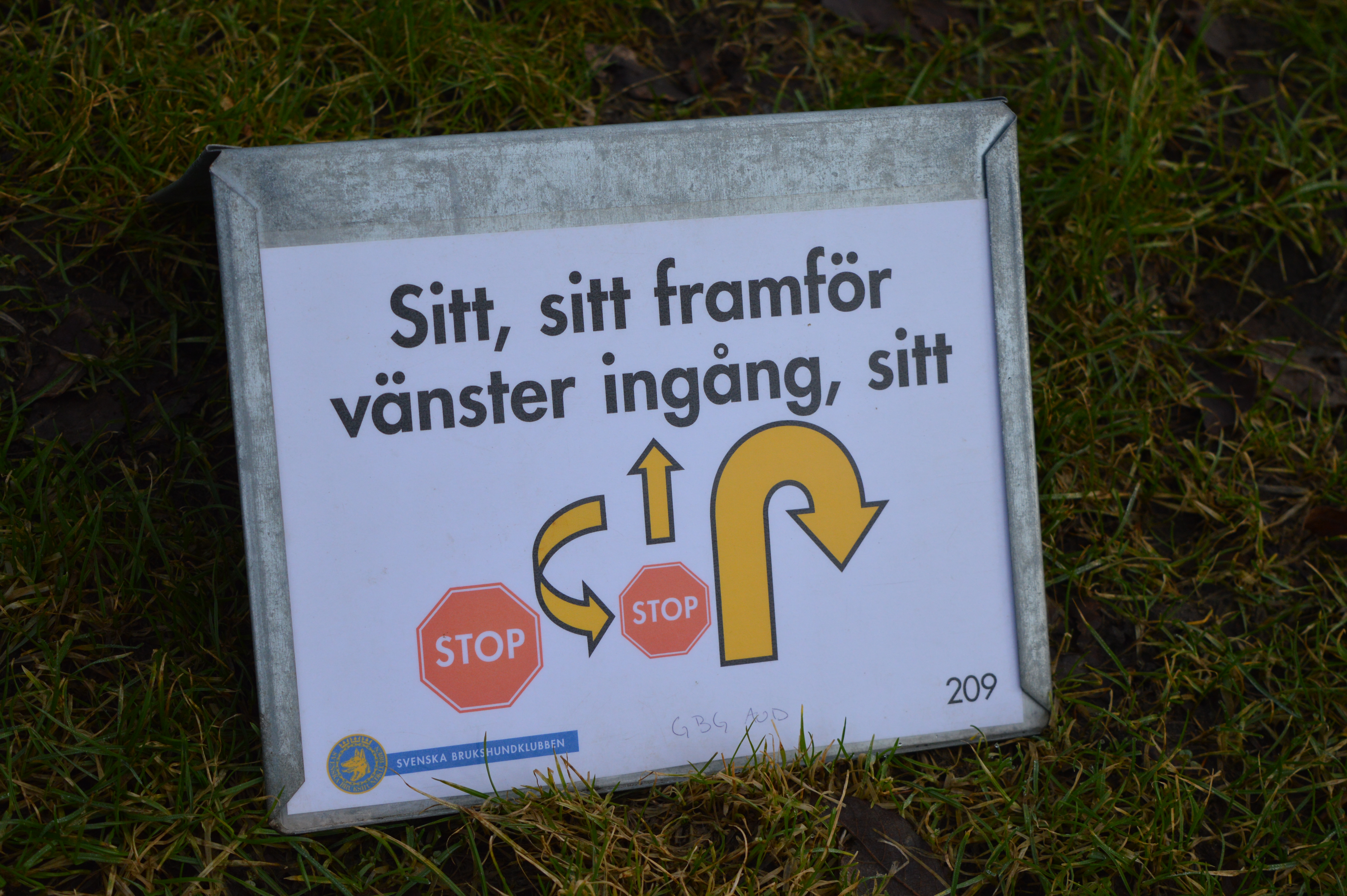 Bild på rallylydnadskylt 209.