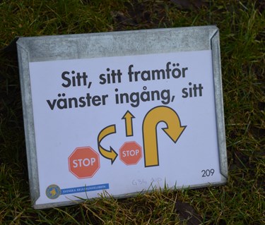 Bild på rallylydnadskylt 209.