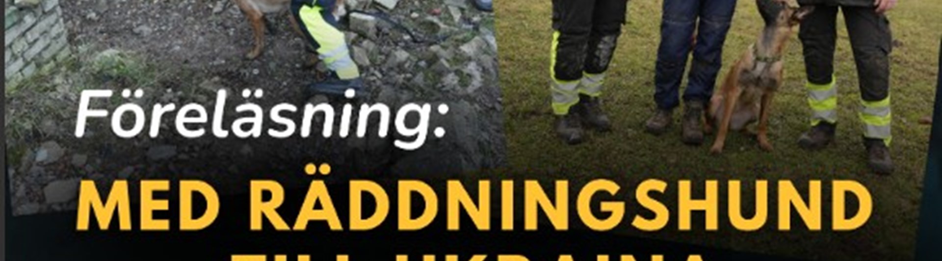 Bild på hund samt texten räddningshund till Ukraina.