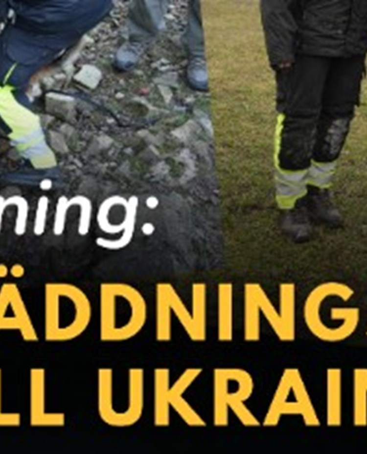 Bild på hund samt texten räddningshund till Ukraina.