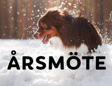 Årsmöte