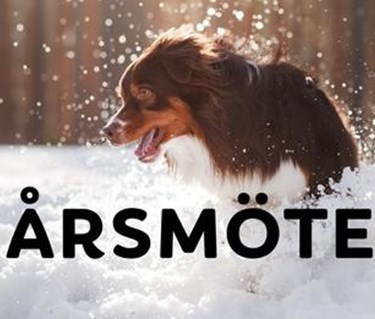 Årsmöte