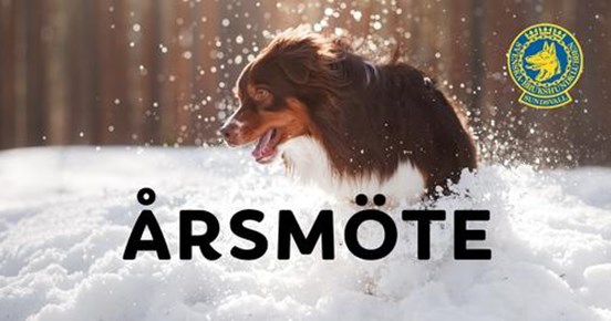 Årsmöte