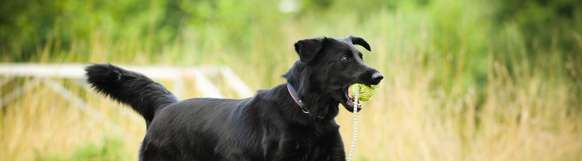 Foto: Julia Indergard