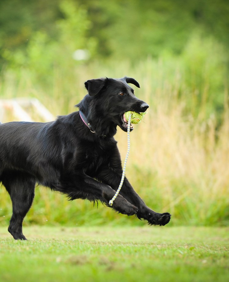 Foto: Julia Indergard