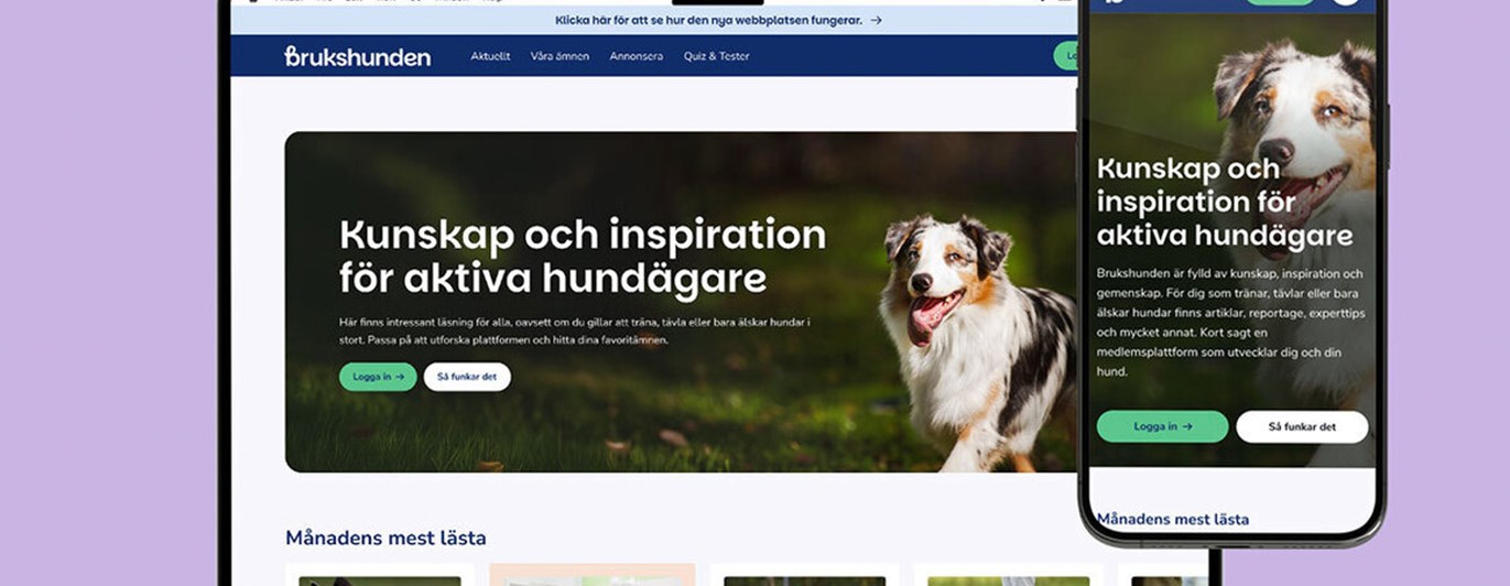 Bild på vår tidningssajt brukshunden.se