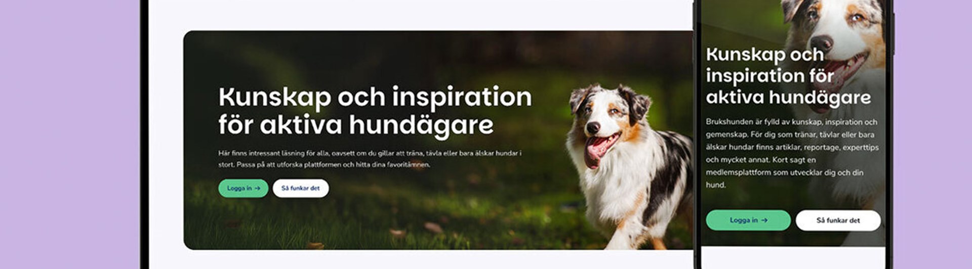 Bild på vår tidningssajt brukshunden.se