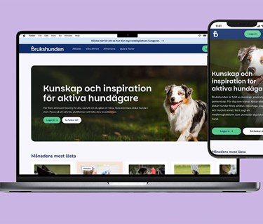 Bild på vår tidningssajt brukshunden.se