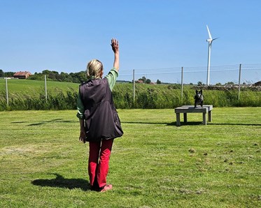 Hundinstruktör med hund under träning.