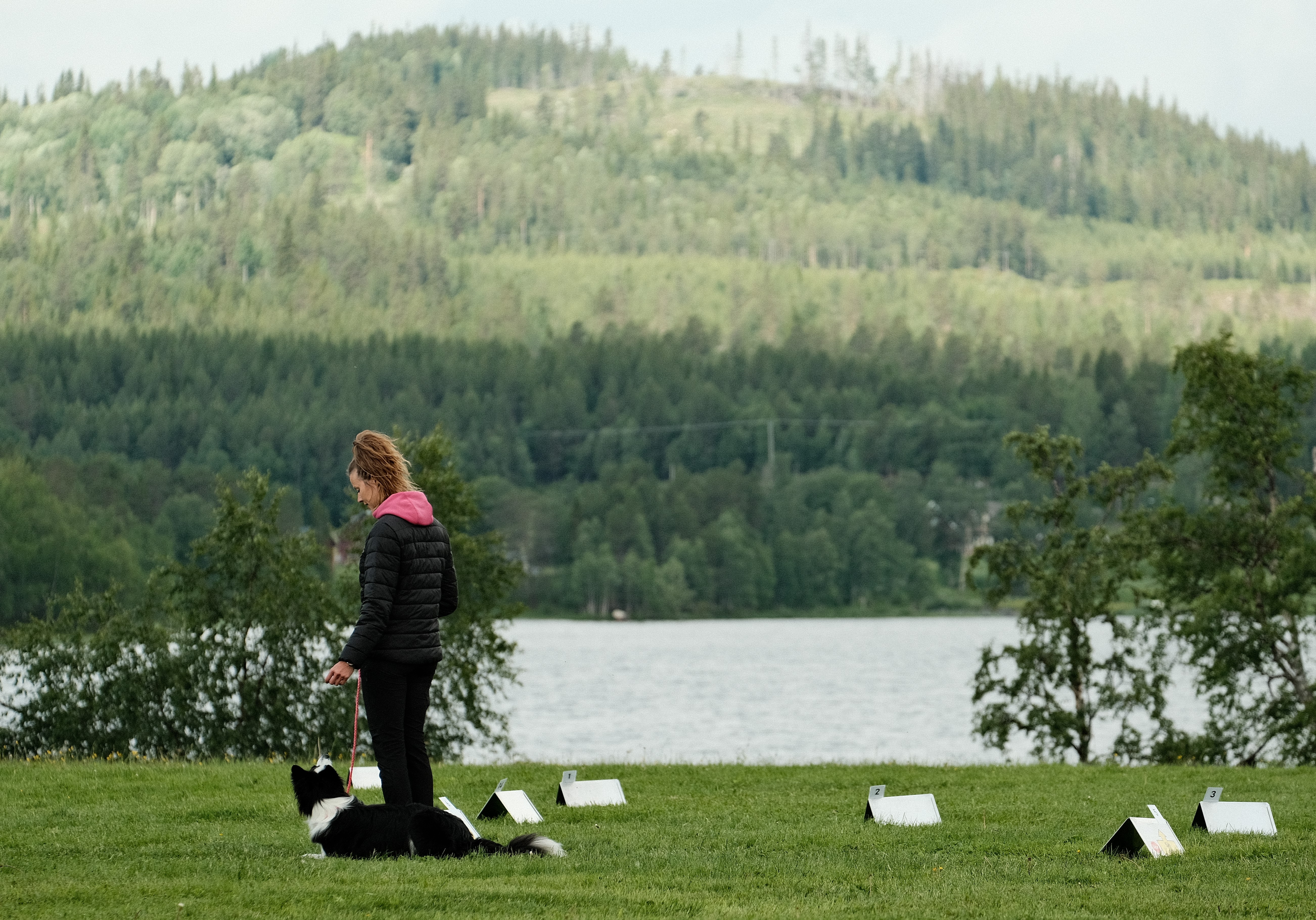 Rallylydnadstävling på Hundholmen i juli 2023
