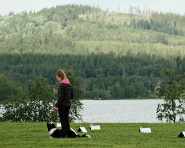 Rallylydnadstävling på Hundholmen i juli 2023