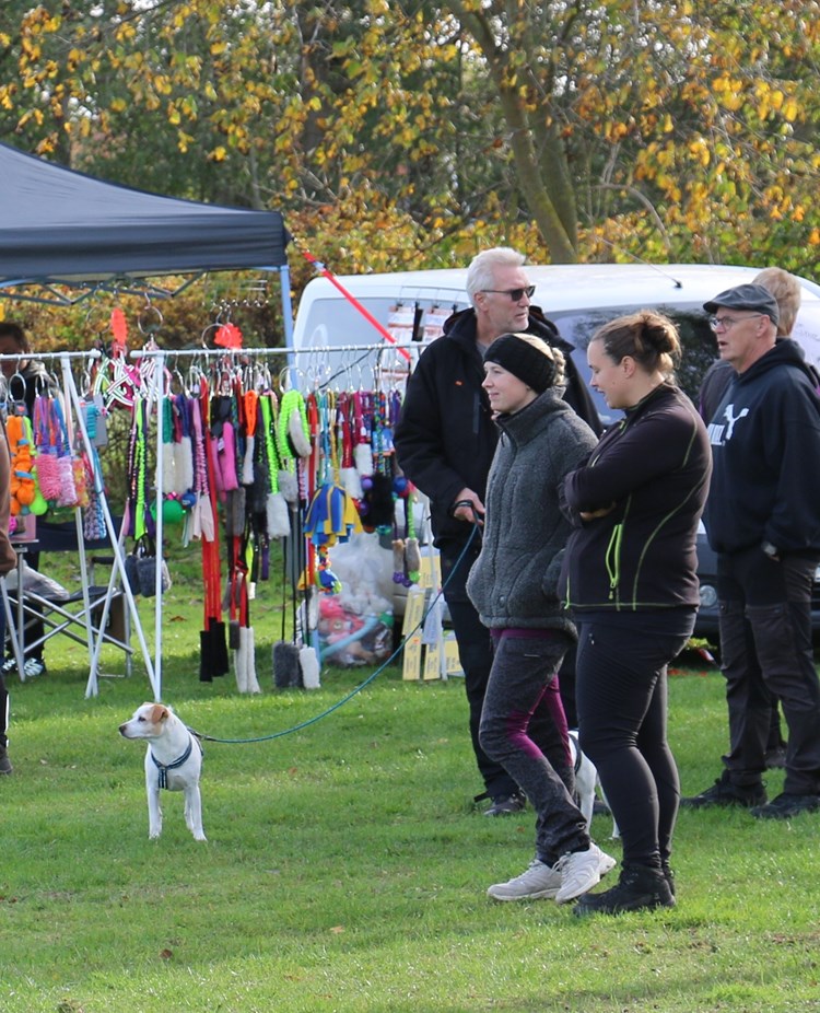 Publik vid tävling Trelleborgs Brukshundklubb