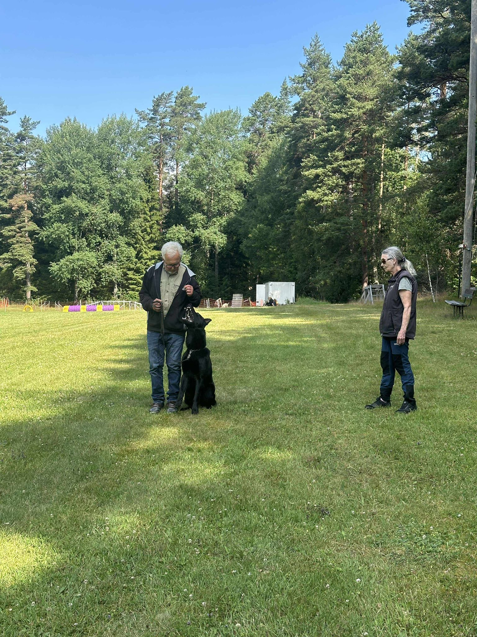 Träning av hund, med hjälp från andra.