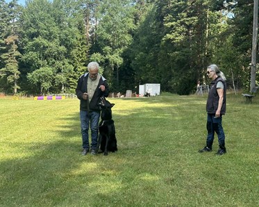 Träning av hund, med hjälp från andra.