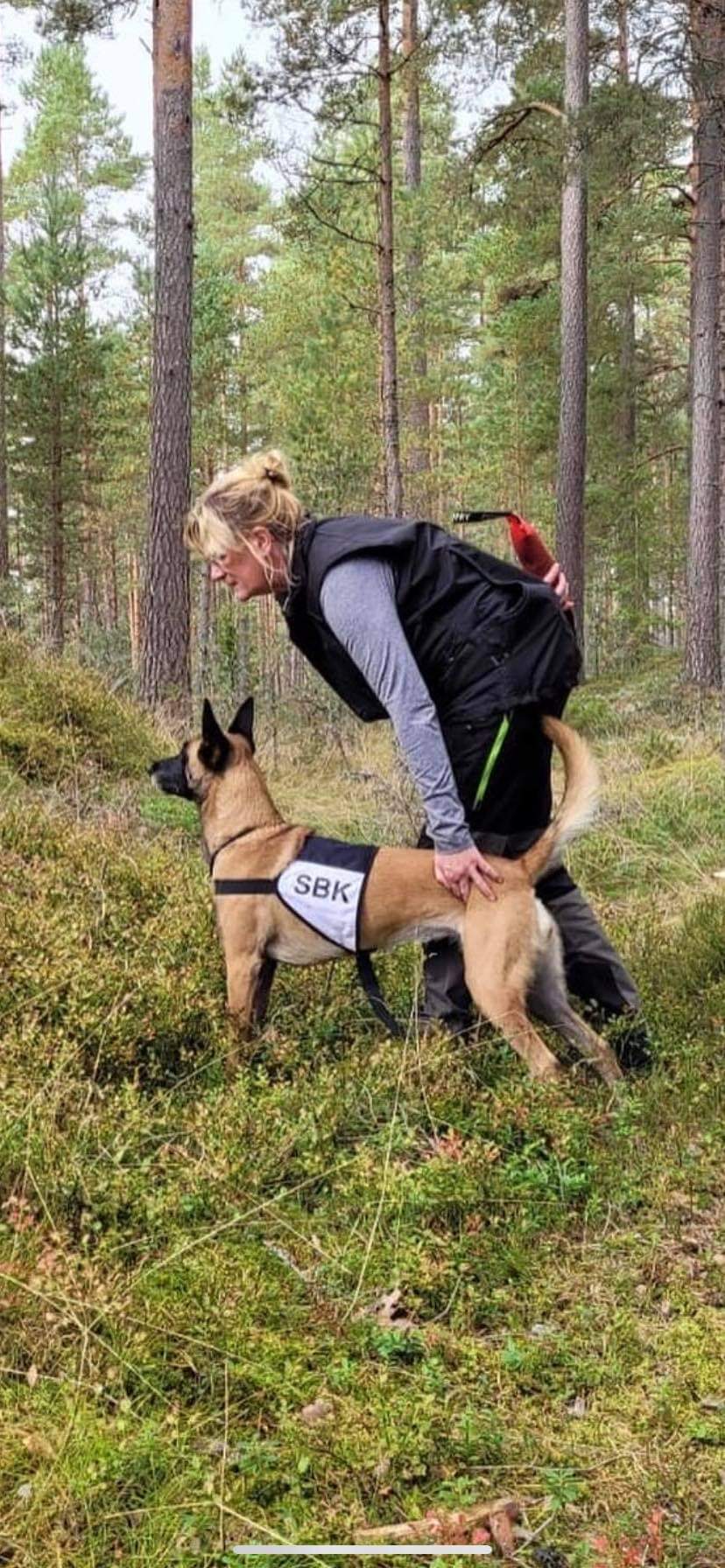 hund i skogen med tjänstetecken