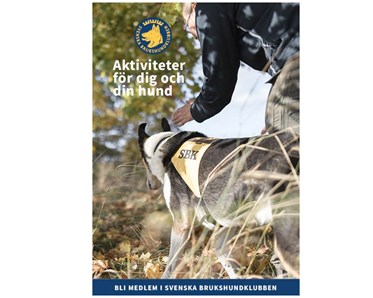 Bild på framsidan på broschyren "Aktiviteter med din hund"