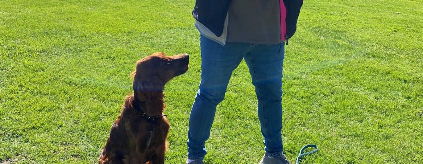 hund tittar på matte