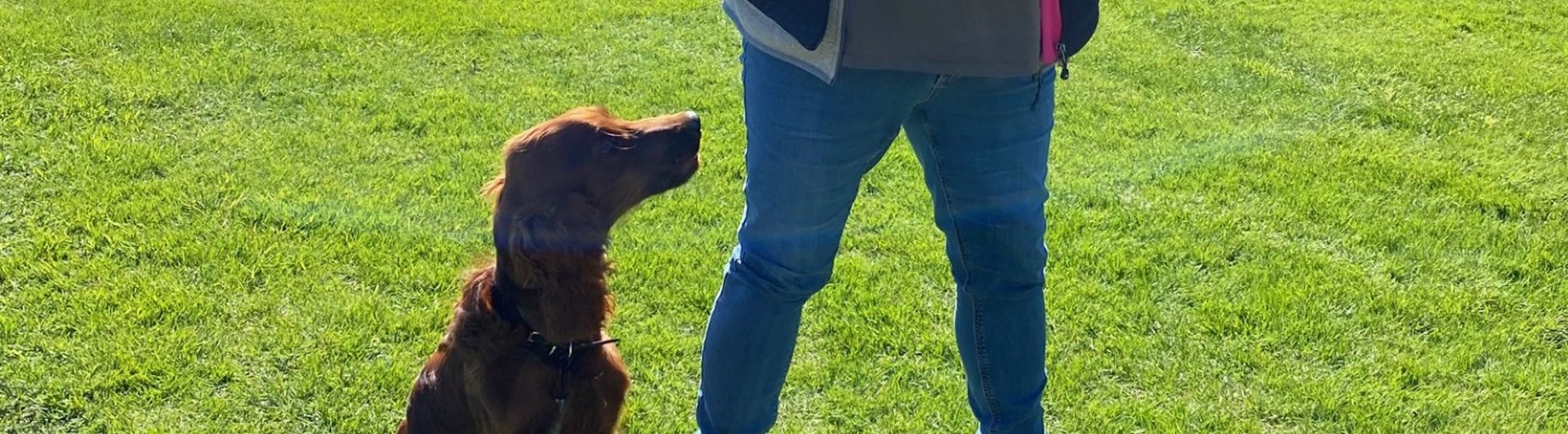 hund tittar på matte