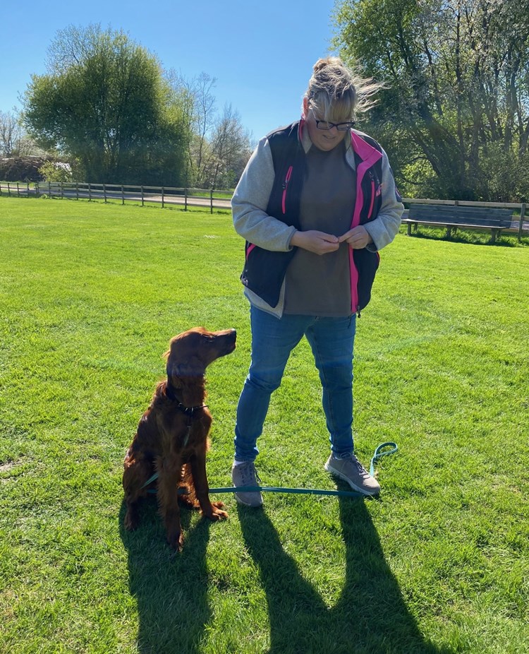 hund tittar på matte