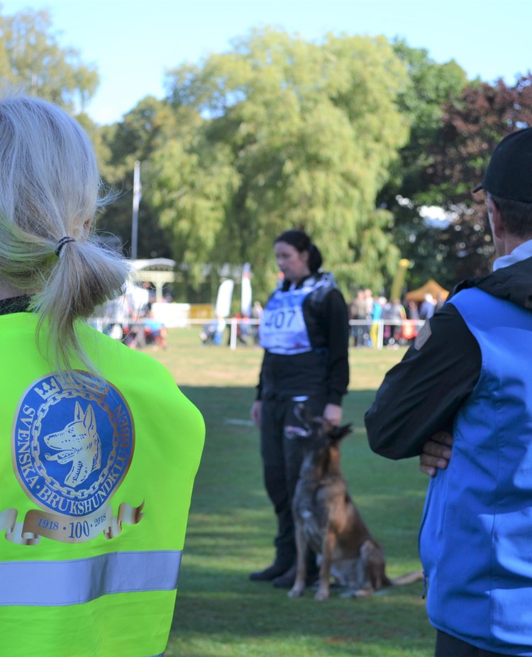 Funktionärer på tävling