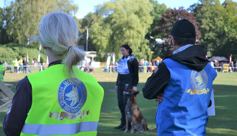 Funktionärer på tävling