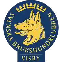 SBK Logga Visby BK