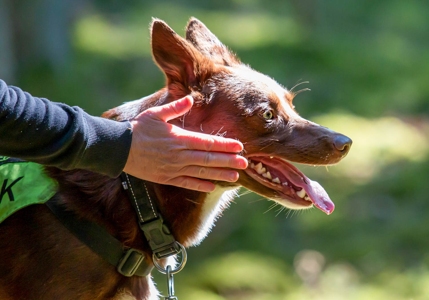 Marlene Lundmark Sökskick