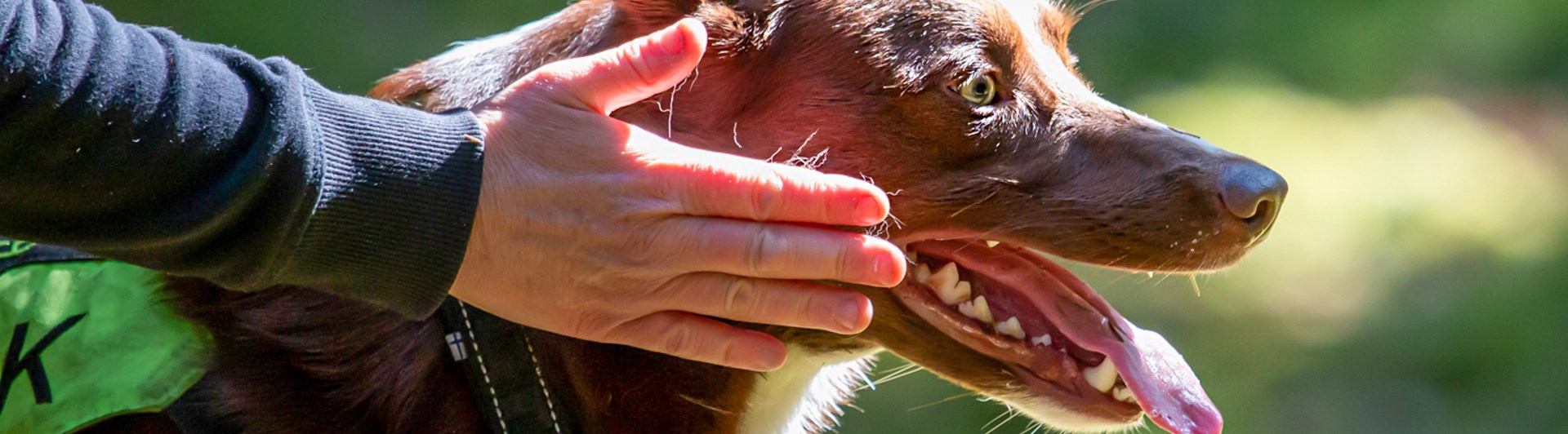 Marlene Lundmark Sökskick