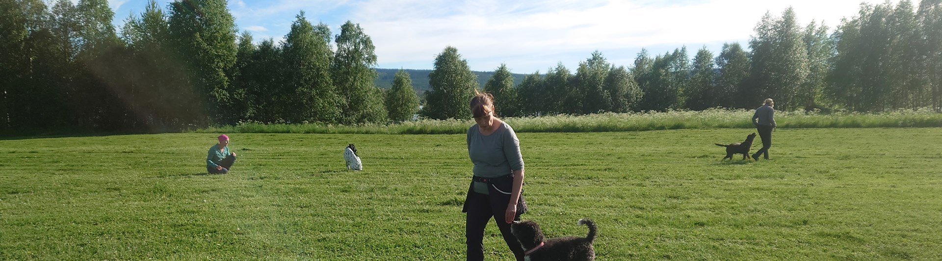 Allmänlydnadskurs på Hundholmen