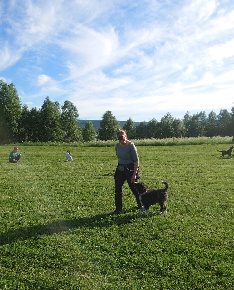 Allmänlydnadskurs på Hundholmen