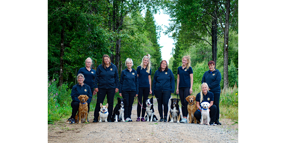 Svenska landslaget som tog lagguld på nordiska mästerskapen i rallylydnad 2025
