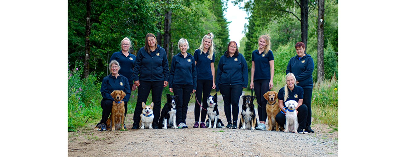 Svenska landslaget som tog lagguld på nordiska mästerskapen i rallylydnad 2025