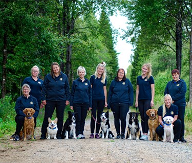 Svenska landslaget som tog lagguld på nordiska mästerskapen i rallylydnad 2025