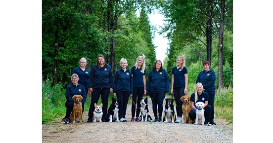Svenska landslaget som tog lagguld på nordiska mästerskapen i rallylydnad 2025