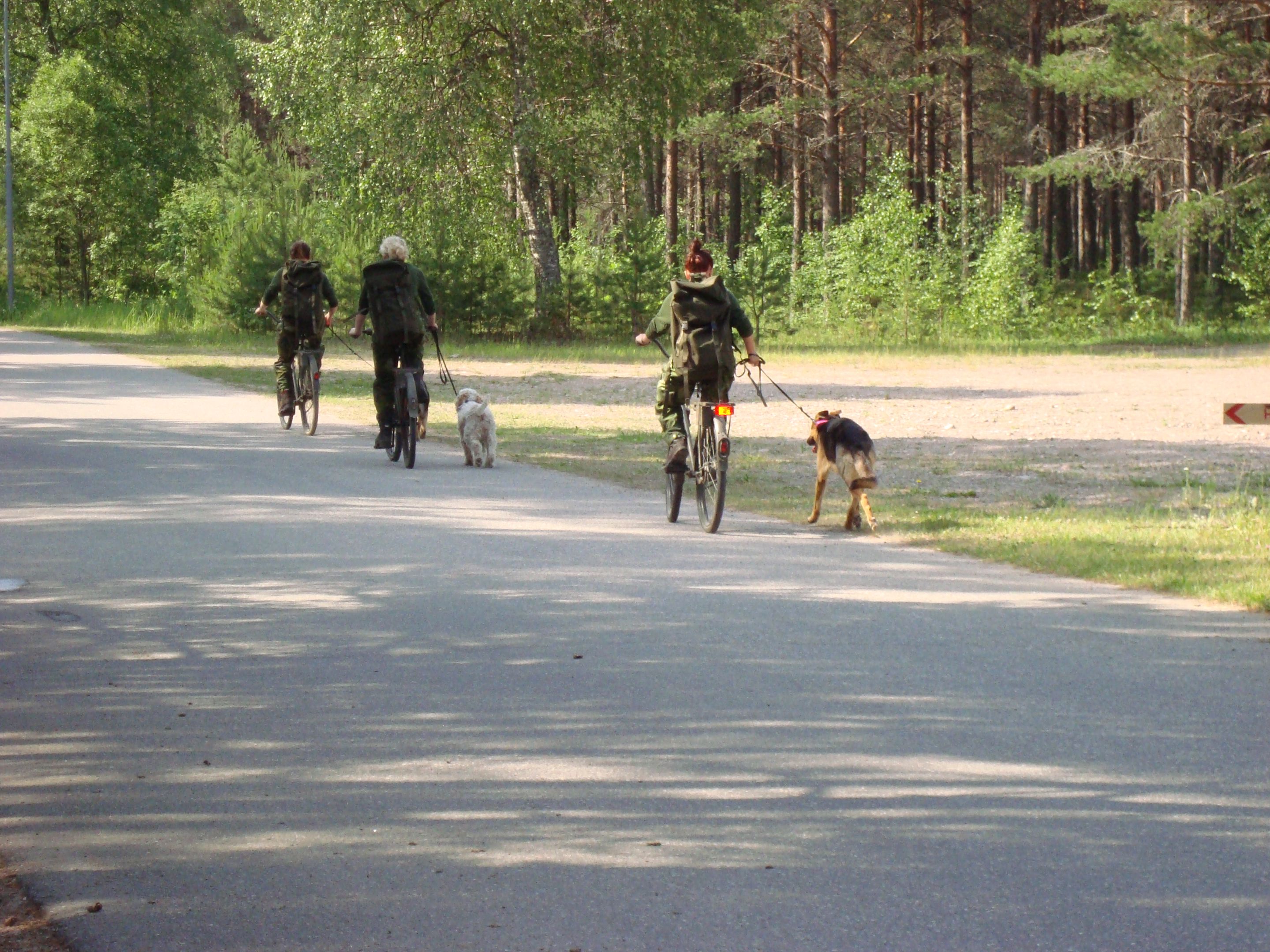 Fotograf: Elisabeth Gustavsson