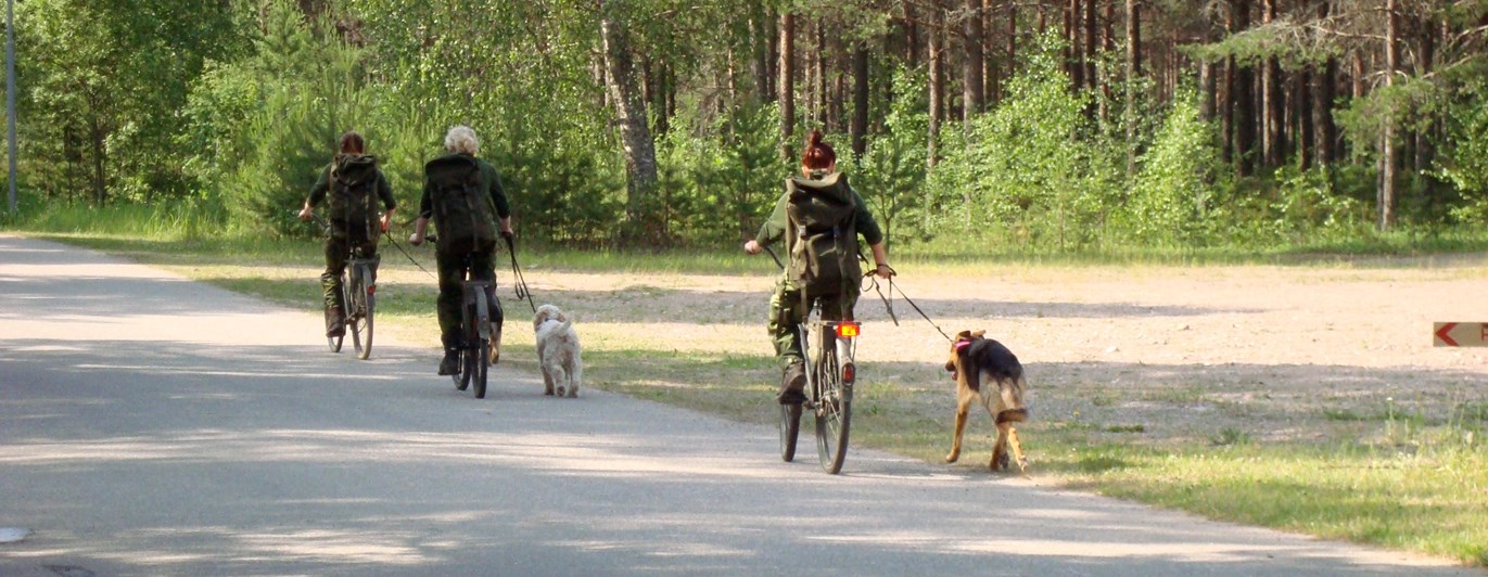 Fotograf: Elisabeth Gustavsson