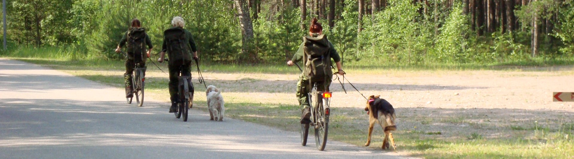 Fotograf: Elisabeth Gustavsson