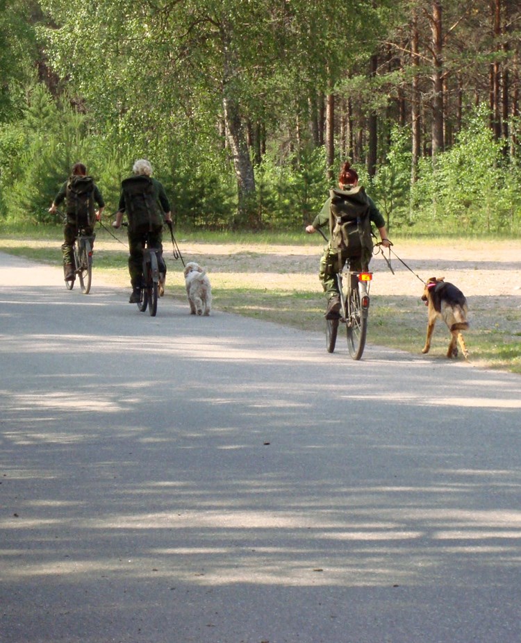 Fotograf: Elisabeth Gustavsson