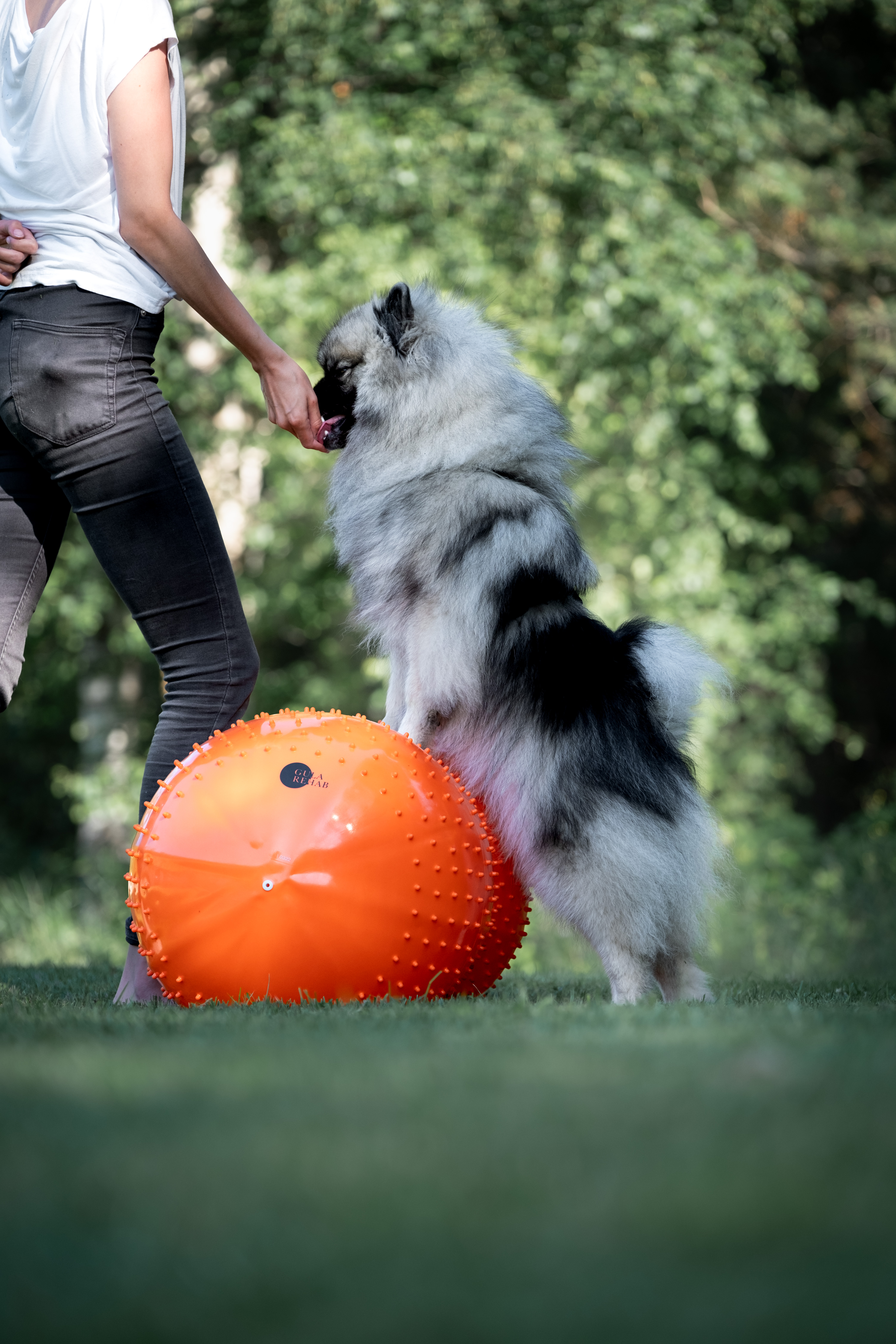 Medelspets tränar balansboll