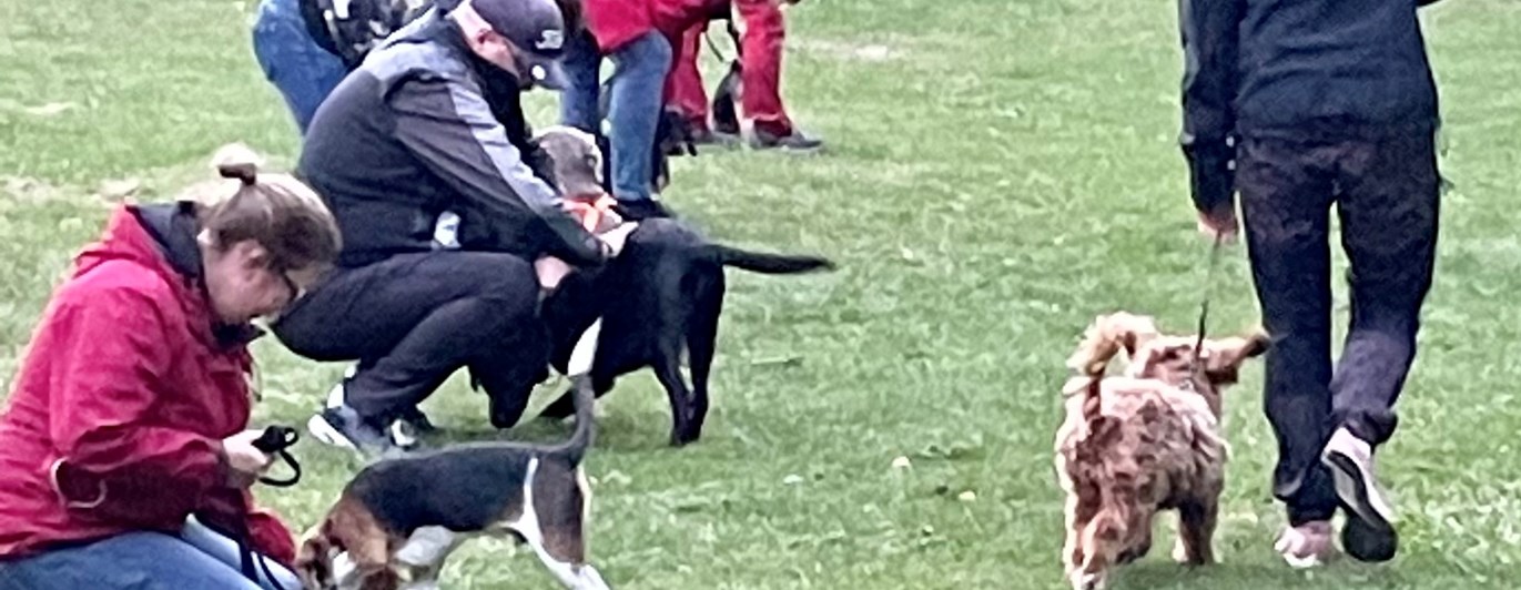 Deltagare i kurs Trelleborgs Brukshundklubb