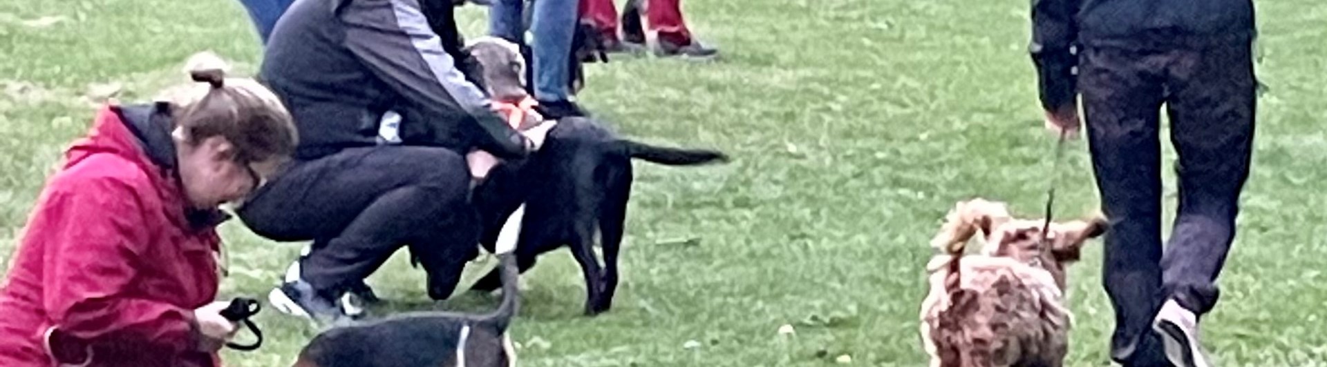 Deltagare i kurs Trelleborgs Brukshundklubb