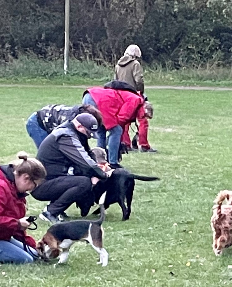 Deltagare i kurs Trelleborgs Brukshundklubb