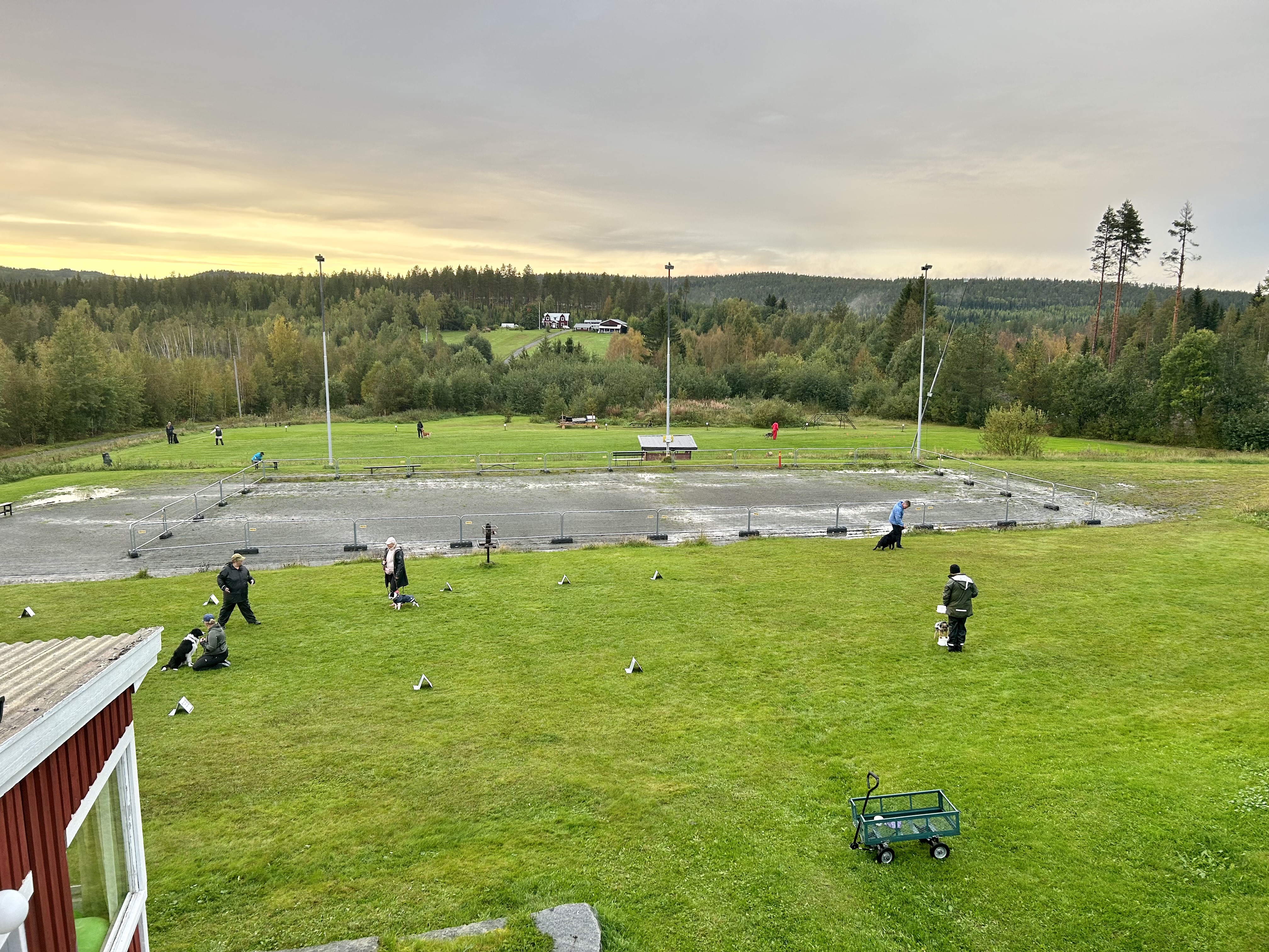 Överblick över träningsplaner vid Hundtorpet
