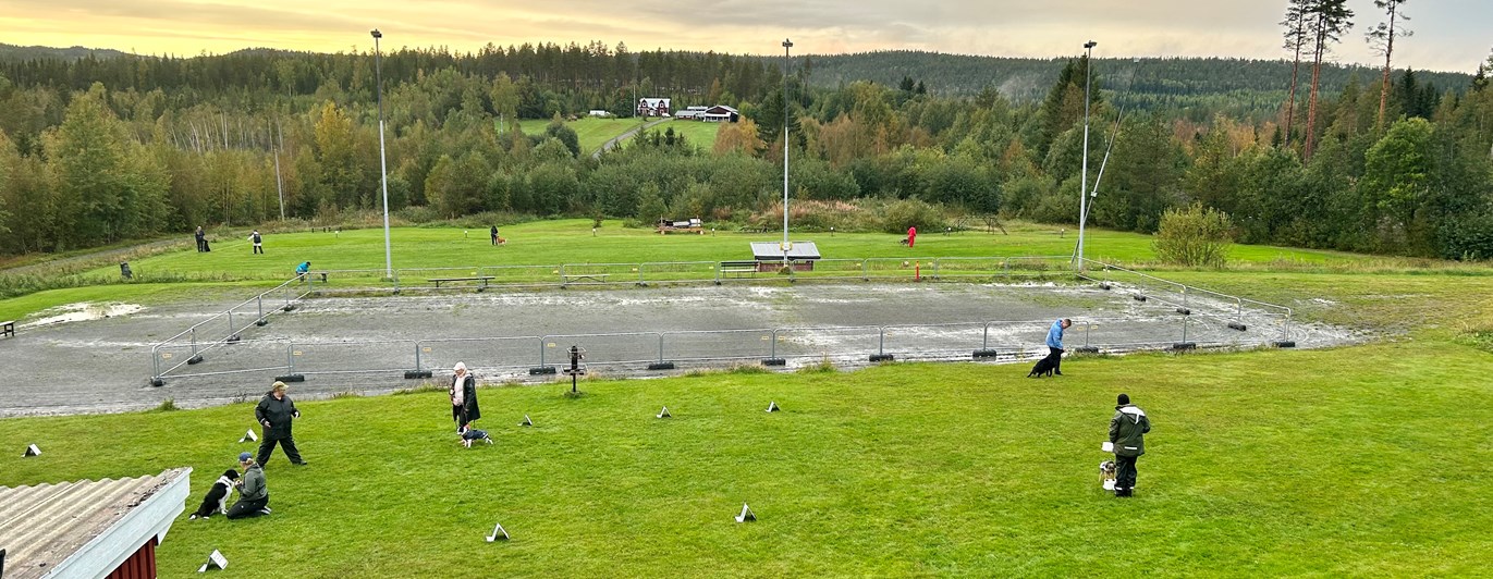 Överblick över träningsplaner vid Hundtorpet