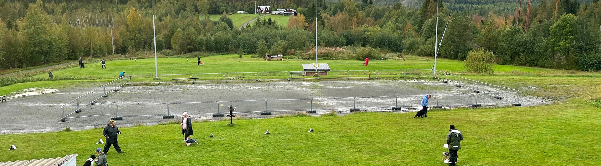 Överblick över träningsplaner vid Hundtorpet