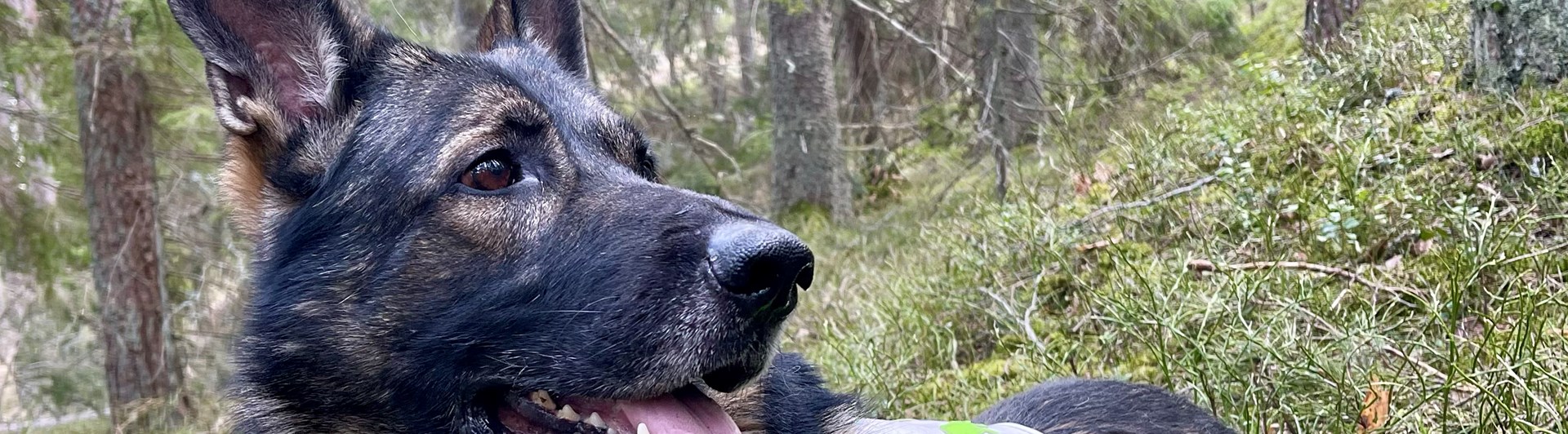 Vai SBK Foto: Lotta Wiklander