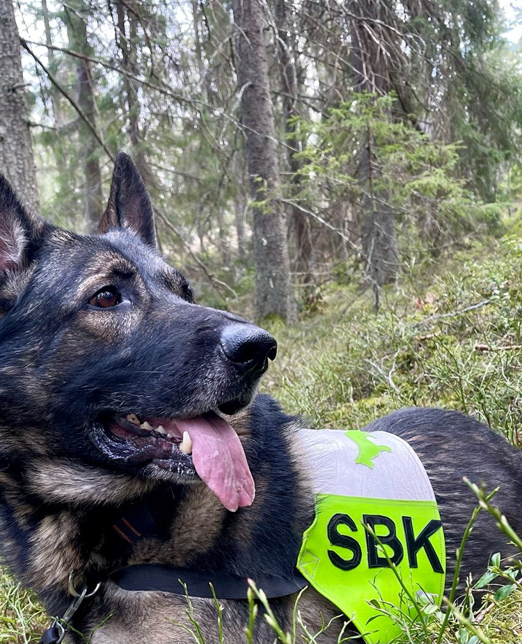 Vai SBK Foto: Lotta Wiklander