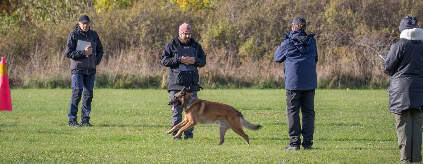 Momentet Framåtsändande genom grupp